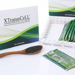 XTranssCell